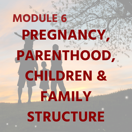 Module 6 - Pregnancy, Parenthood, Children & Family Structure