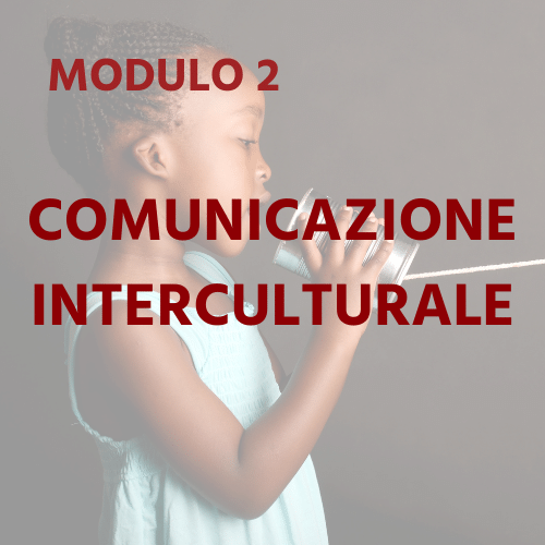 IT Moduel 2 - Intercultural Communication