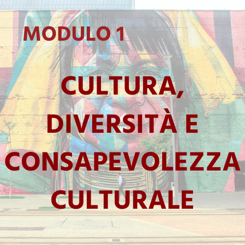 IT Module 1 - Culture, Diversity & Raising Awareness