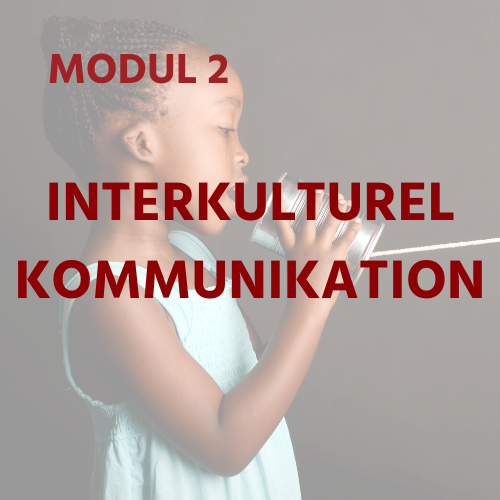DK Moduel 2 - Intercultural Communication