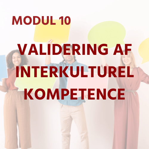 DK Module 10 - Validation of Intercultural Training