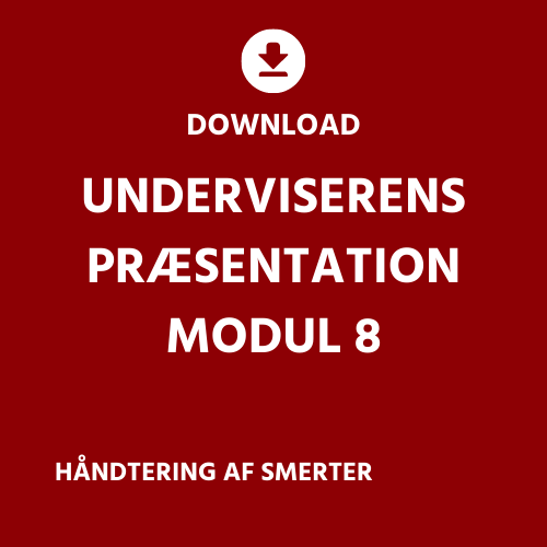 DK module 8 - presentation